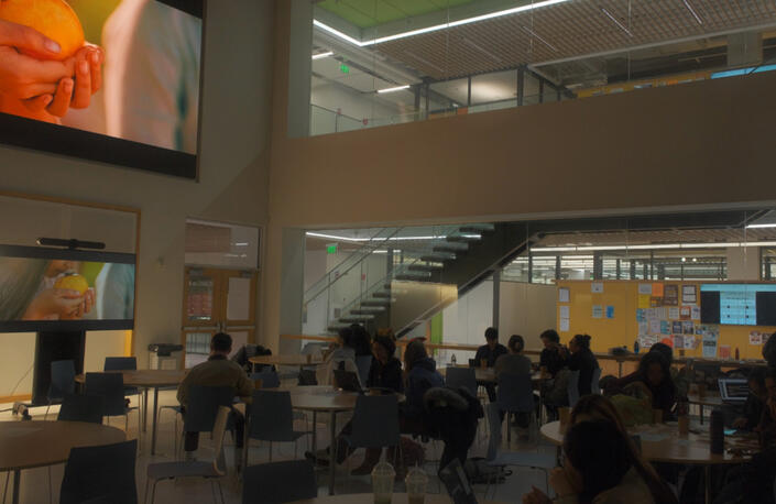 VSA OF LEHIGH